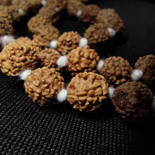 4 Mukhi Rudraksha Mala - Indonesia Origin