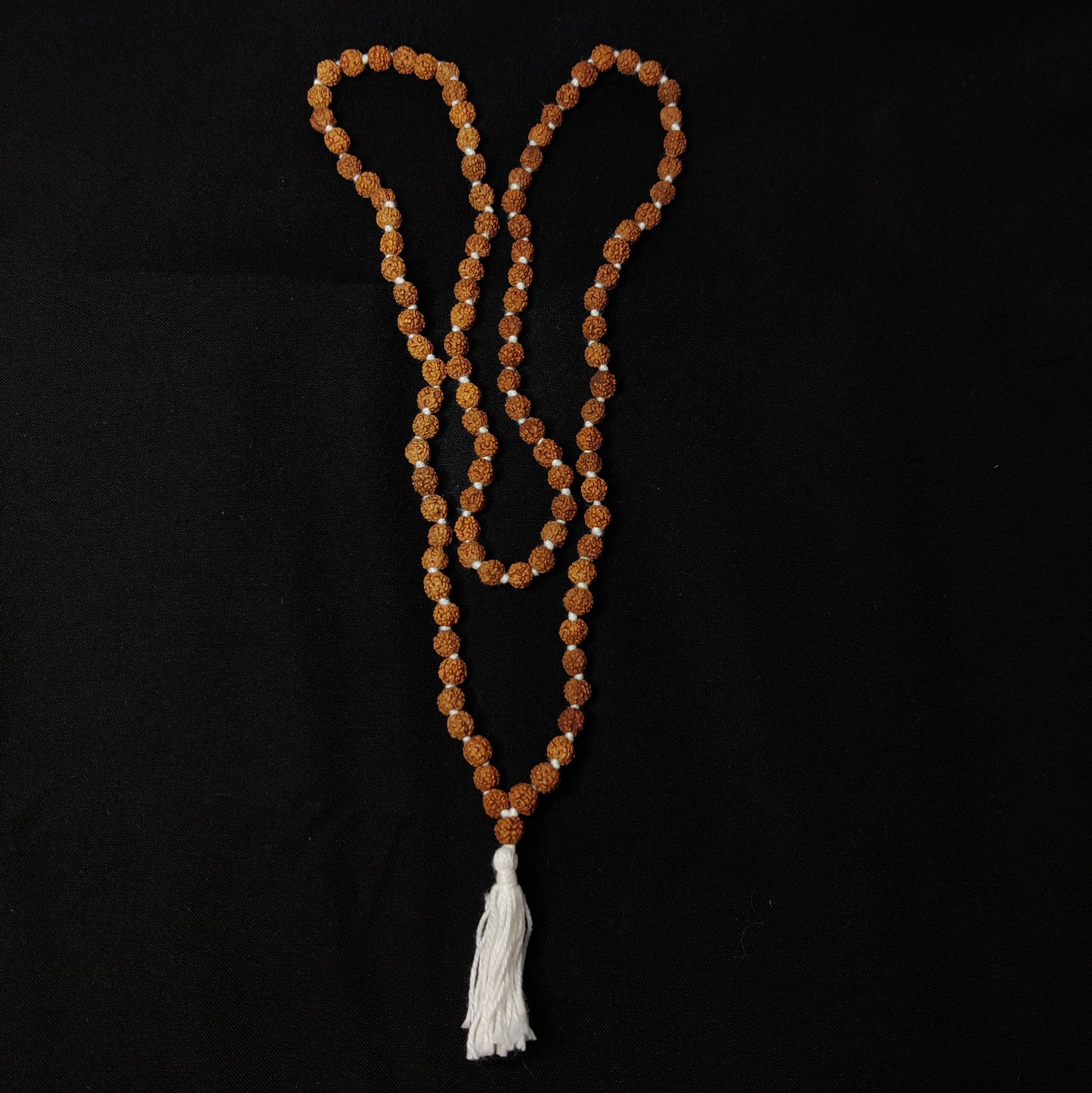 6 Mukhi Rudraksha Mala
