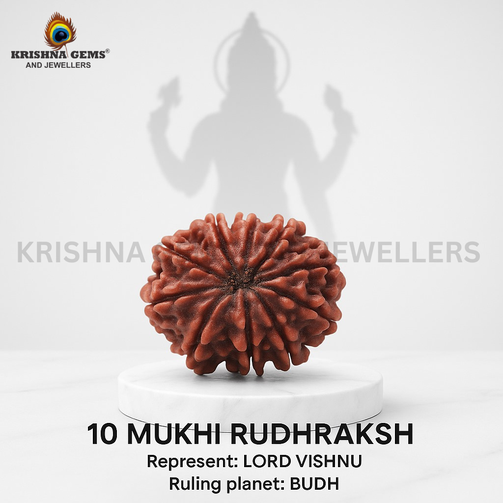 10 Mukhi Rudraksha Certified