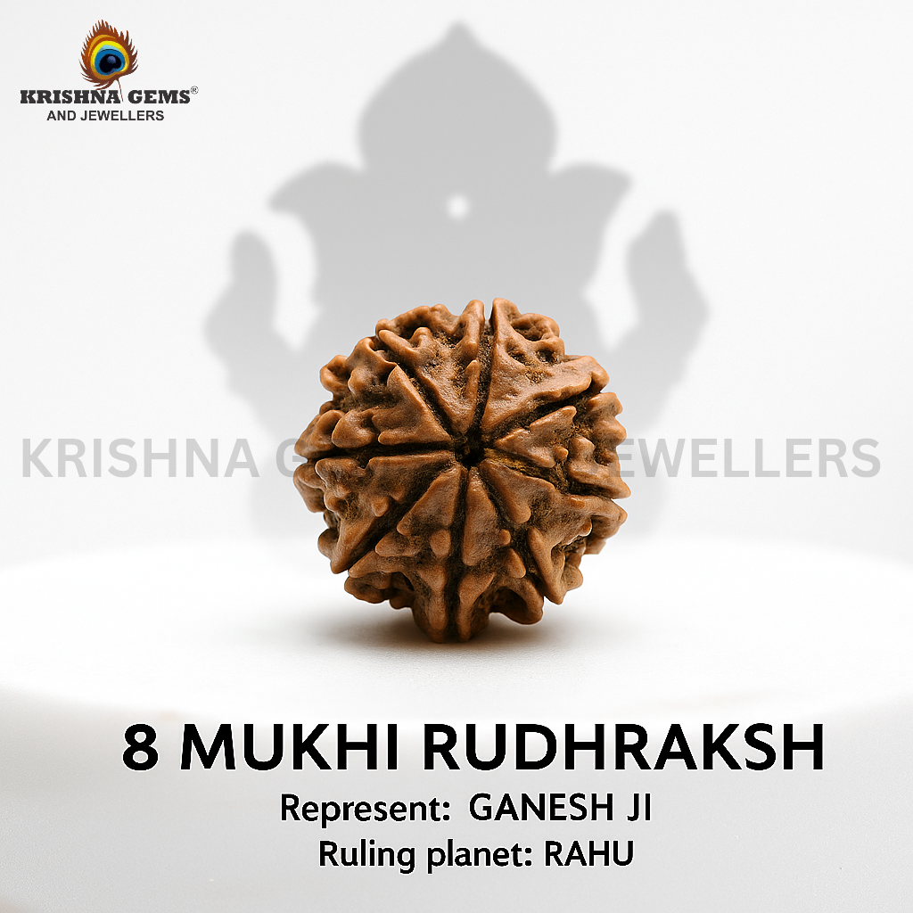 Certified 8 Mukhi Rudraksha