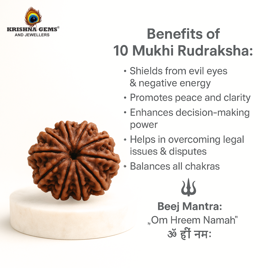 10 Mukhi Rudraksha Certified