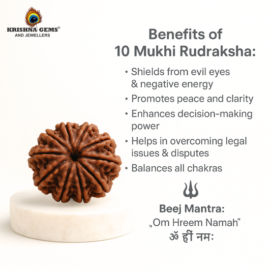 10 Mukhi Rudraksha Certified