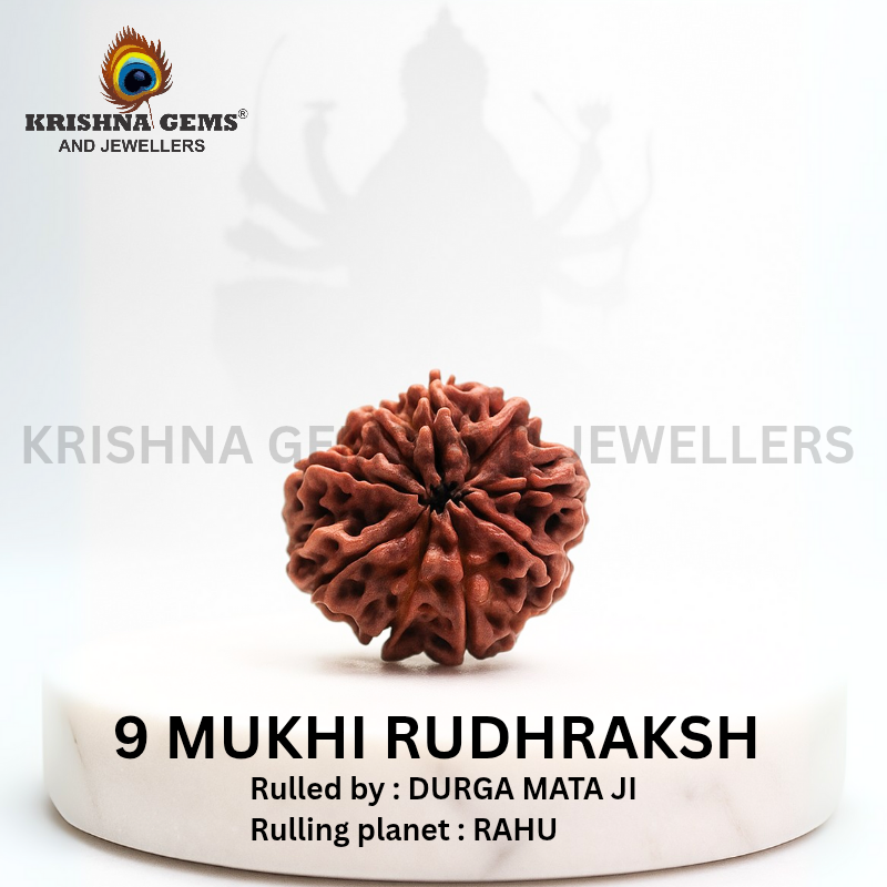 Certified 9 Mukhi Rudraksha