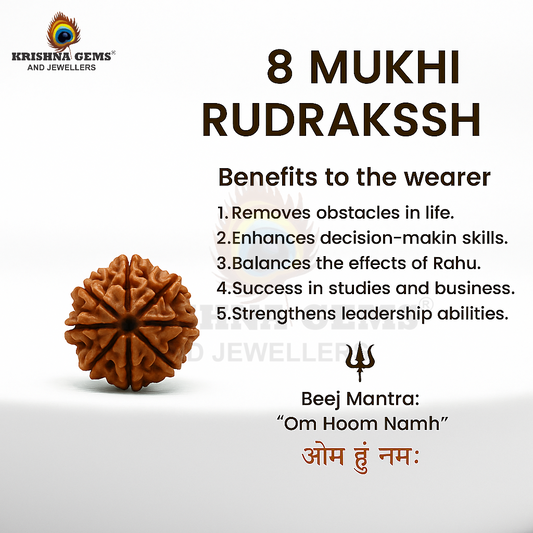 Certified 8 Mukhi Rudraksha