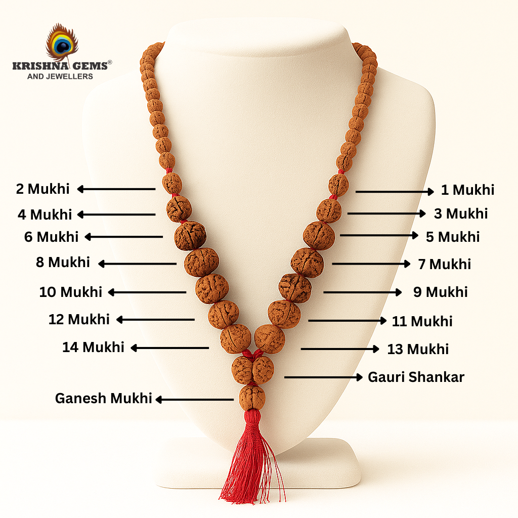 Sidh Rudraksha Mala Java/Indonesia (1-14 Mukhi + Gauri Shankar + Ganesh Rudraksha)
