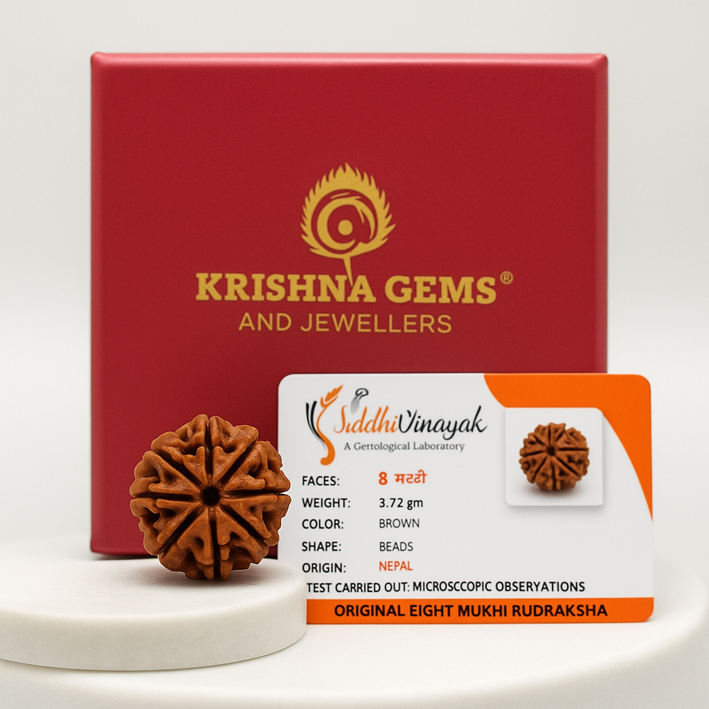Certified 8 Mukhi Rudraksha