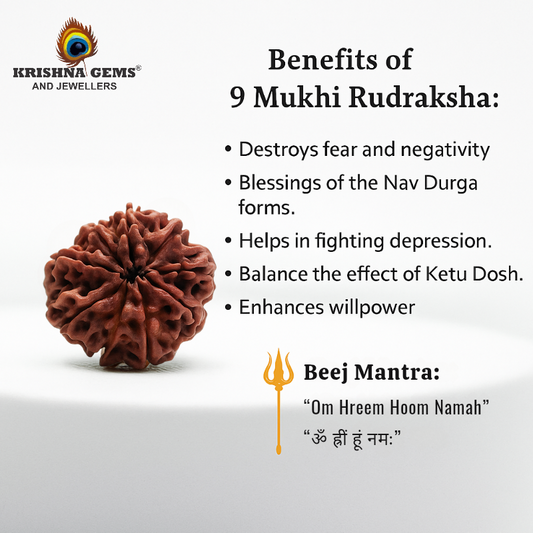 Certified 9 Mukhi Rudraksha