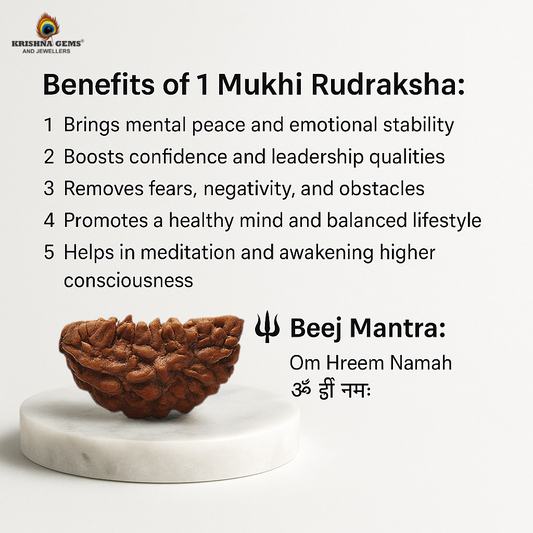 1 Mukhi Rudraksha