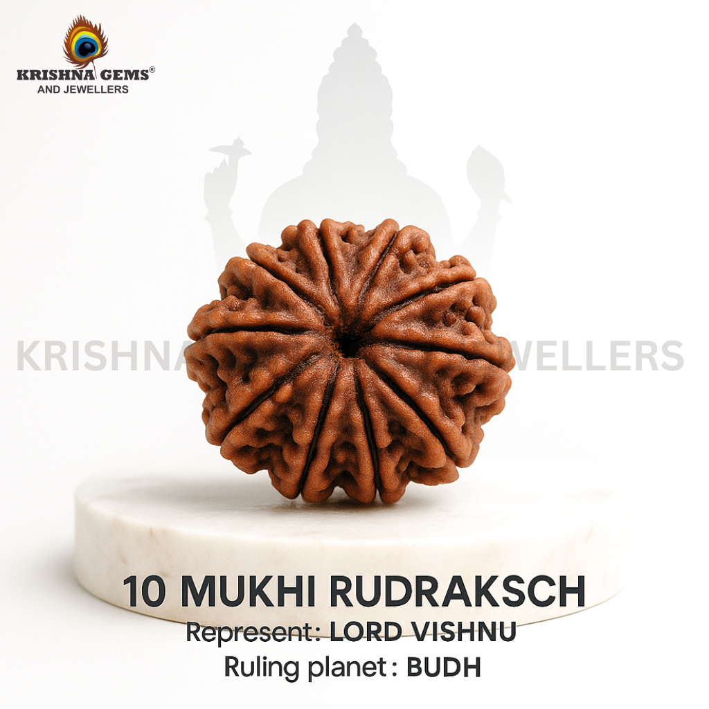 10 Mukhi Rudraksha Certified