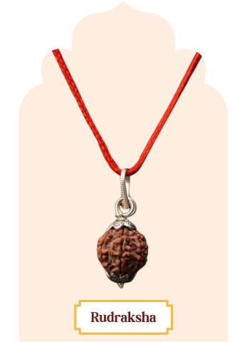 Certified Rudraksha