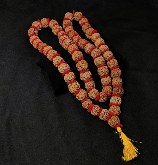 5 Mukhi Rudraksha Kantha Mala