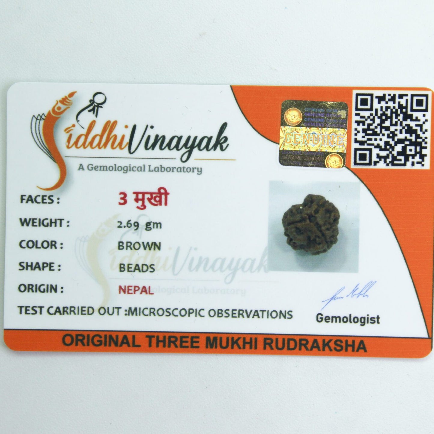 Certified 3 Mukhi Rudraksha