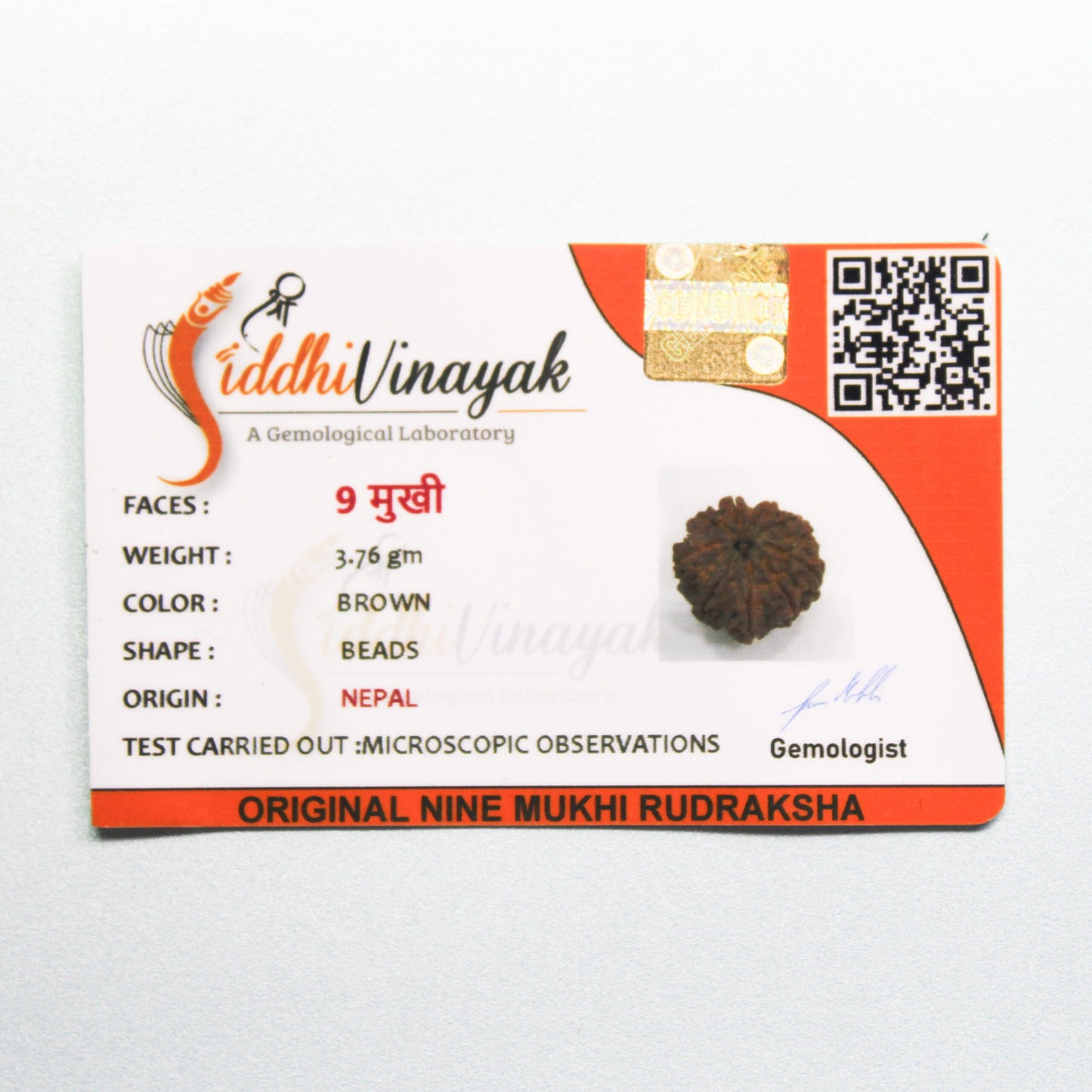 Certified 9 Mukhi Rudraksha