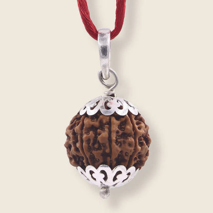 7 Mukhi Rudraksha - Nepal