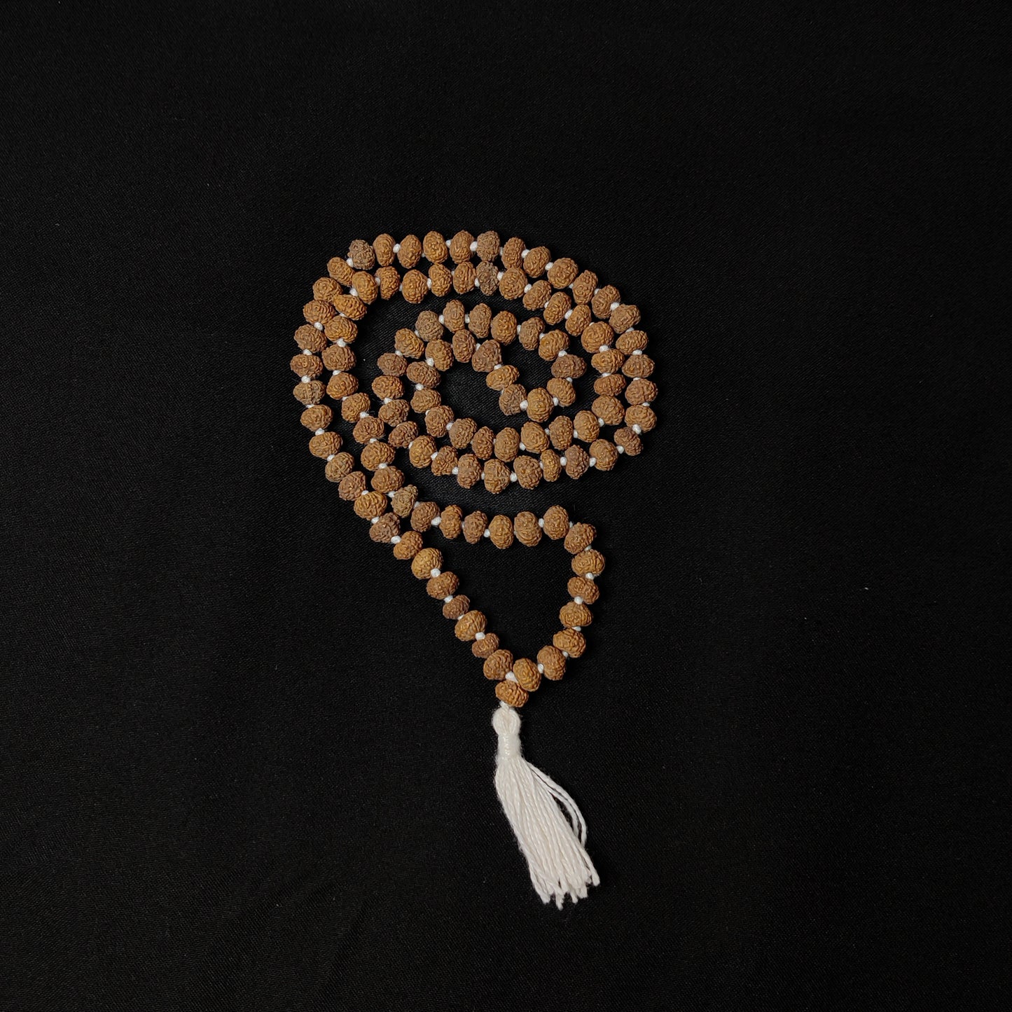 8 Mukhi Rudraksha Mala