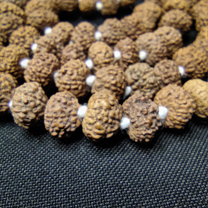 8 Mukhi Rudraksha Mala