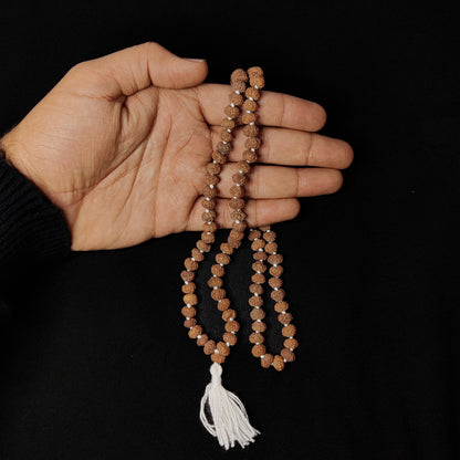 8 Mukhi Rudraksha Mala