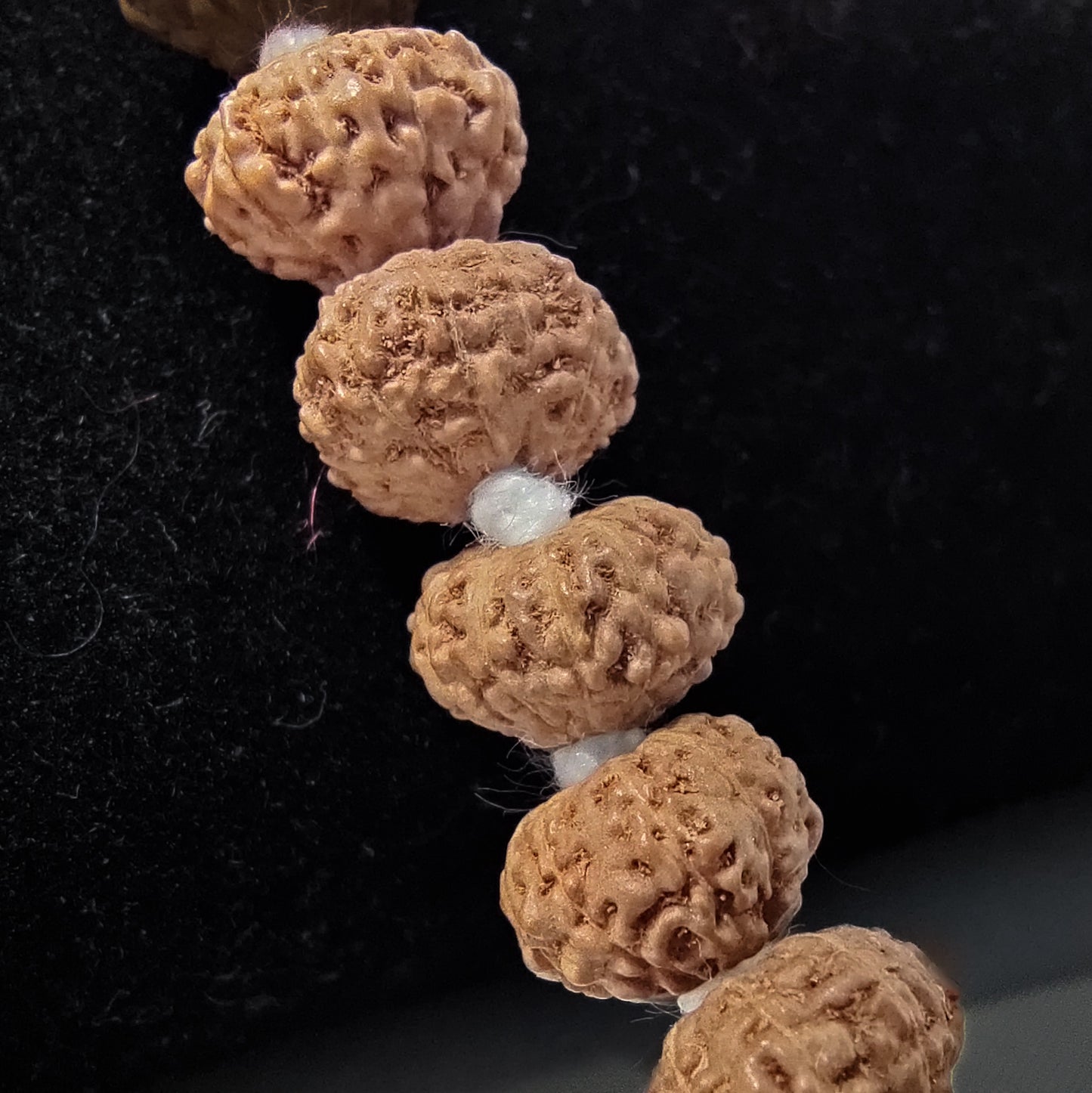 10 Mukhi Rudraksha Mala