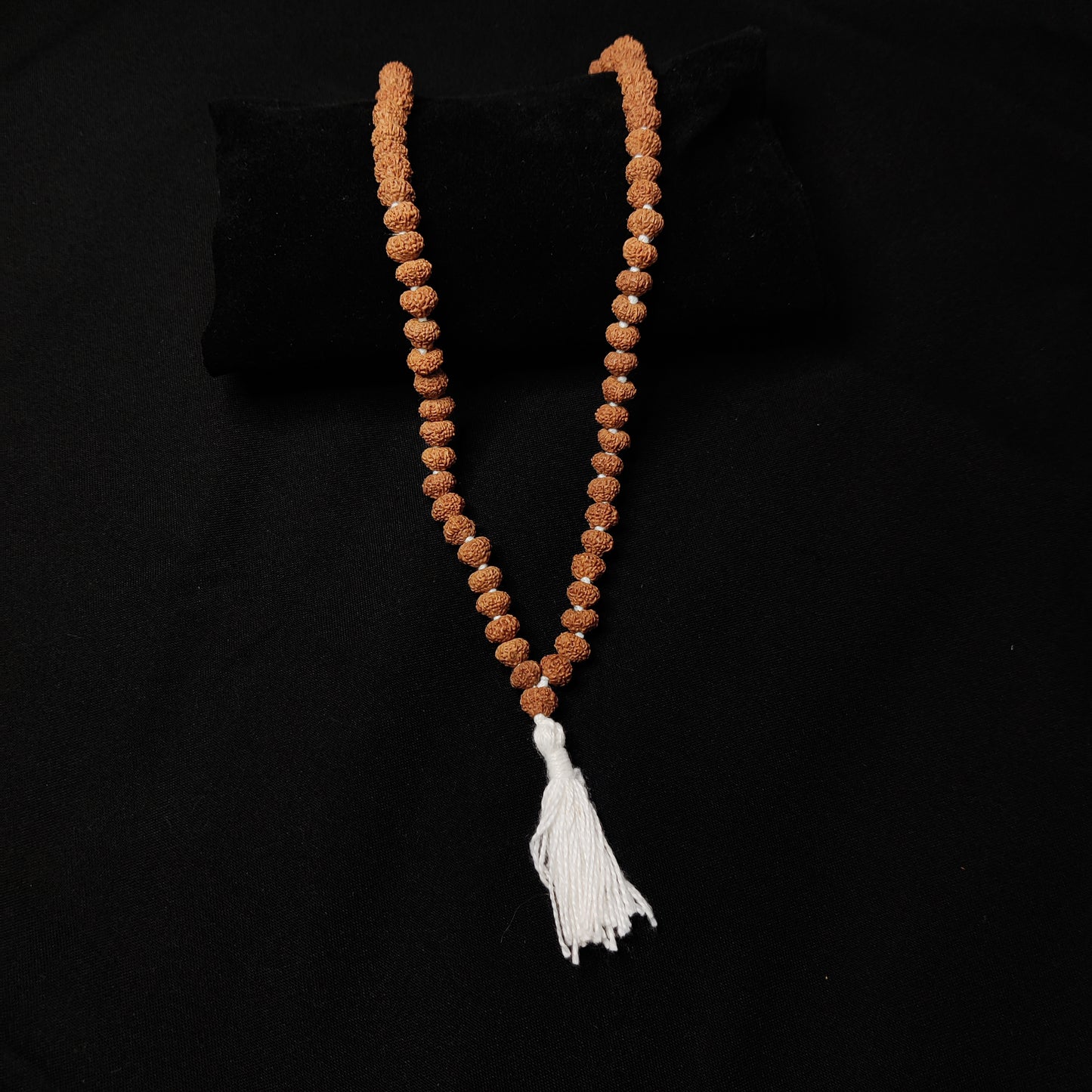 10 Mukhi Rudraksha Mala