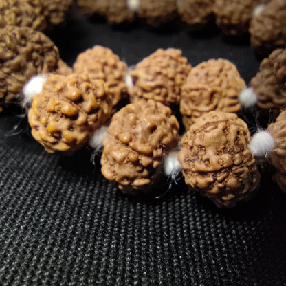 9 Mukhi Rudraksha Mala