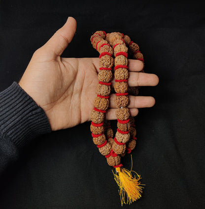 5 Mukhi Rudraksha Kantha Mala