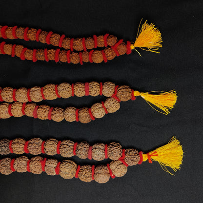 5 Mukhi Rudraksha Kantha Mala