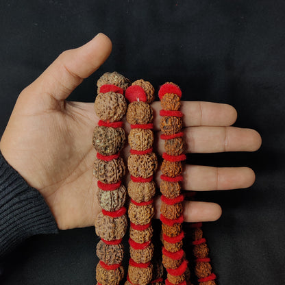 5 Mukhi Rudraksha Kantha Mala