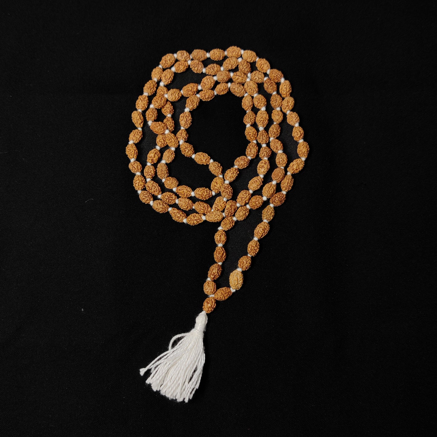 2 Mukhi Rudraksha Mala