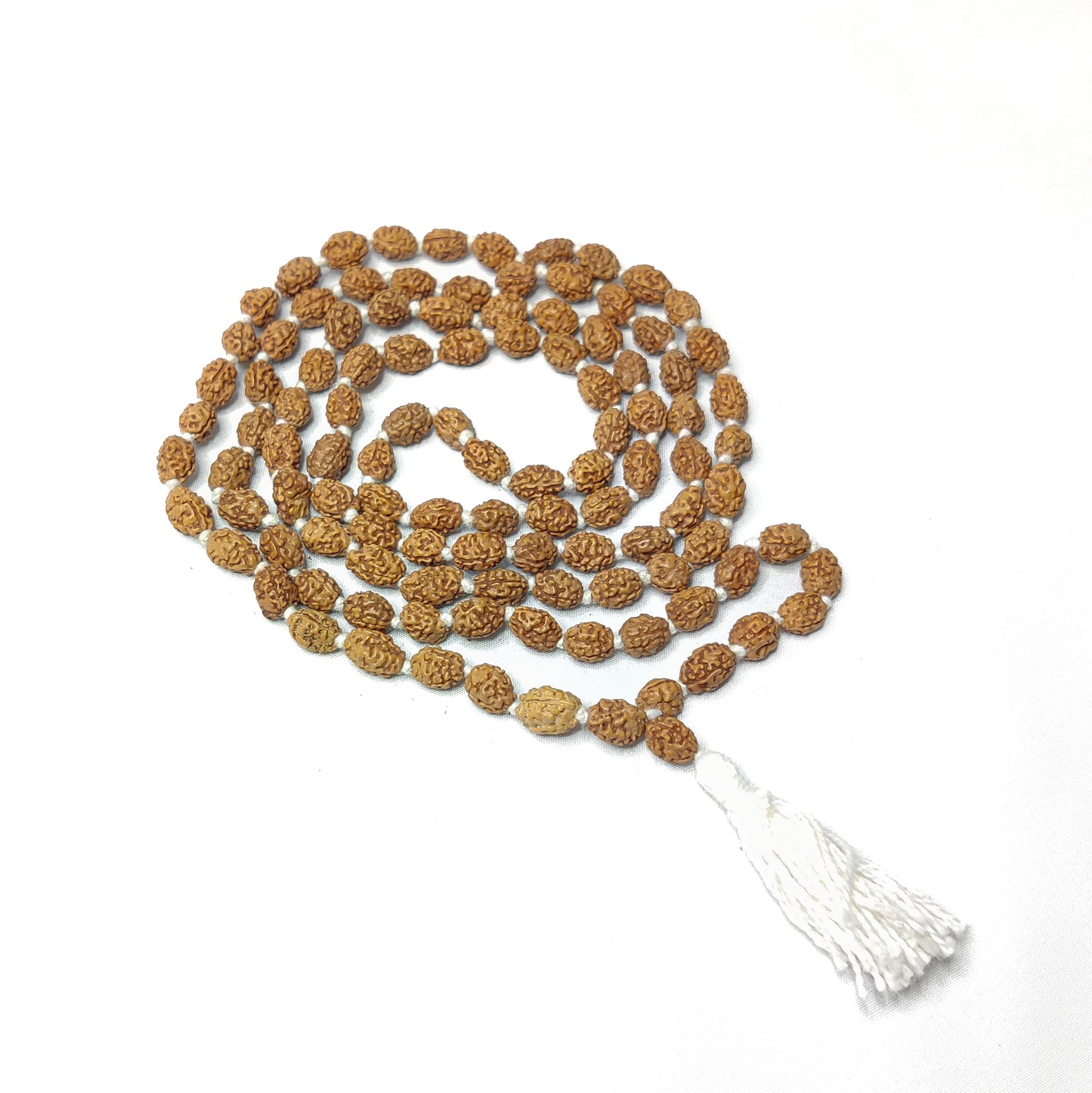 2 Mukhi Rudraksha Mala