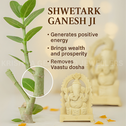Shwetark Ganpati