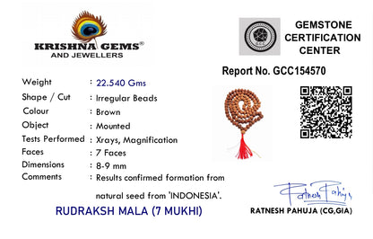 7 Mukhi Rudraksha Mala - Indonesia Origin