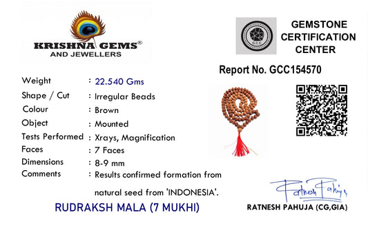 7 Mukhi Rudraksha Mala - Indonesia Origin