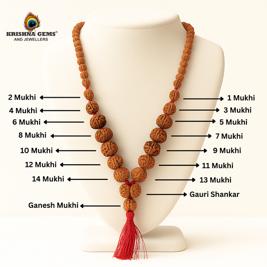 Sidh Rudraksha Mala Java/Indonesia (1-14 Mukhi + Gauri Shankar + Ganesh Rudraksha)