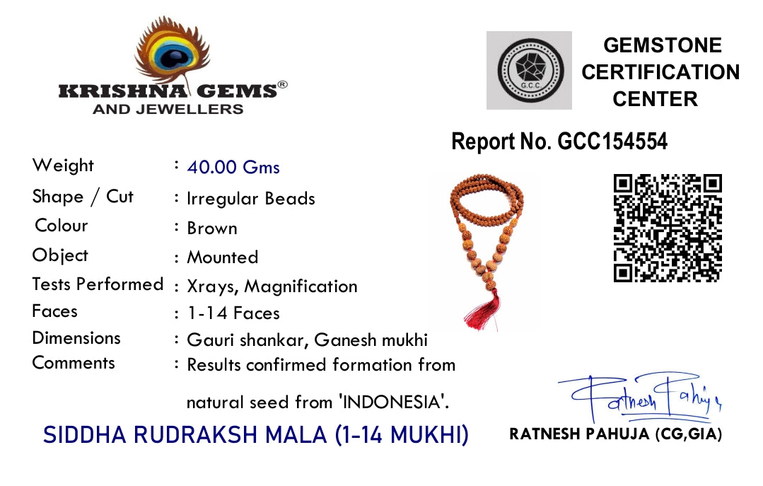 Sidh Rudraksha Mala 1–14 Mukhi with Gauri Shankar & Ganesh Rudraksha – Indonesia Origin