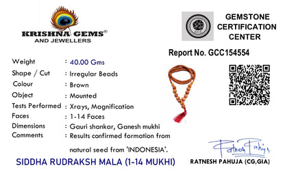 Sidh Rudraksha Mala 1–14 Mukhi with Gauri Shankar & Ganesh Rudraksha – Indonesia Origin