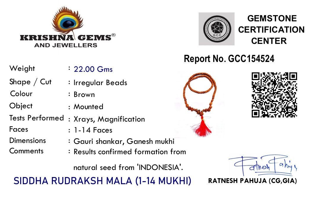 Sidh Rudraksha Mala 1–14 Mukhi with Gauri Shankar & Ganesh Rudraksha – Indonesia Origin