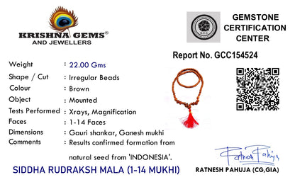 Sidh Rudraksha Mala 1–14 Mukhi with Gauri Shankar & Ganesh Rudraksha – Indonesia Origin