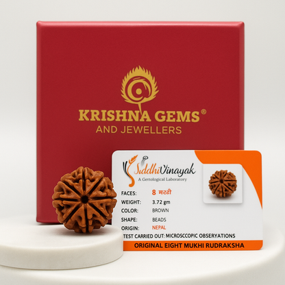 Certified 8 Mukhi Rudraksha