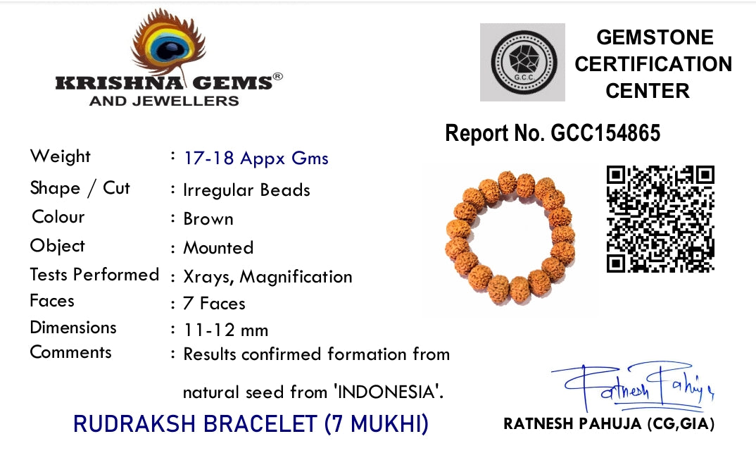 7 Mukhi Rudraksha Bracelet - Indonesia Origin