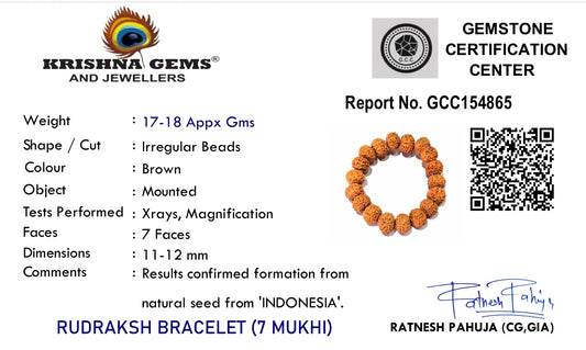 7 Mukhi Rudraksha Bracelet - Indonesia Origin