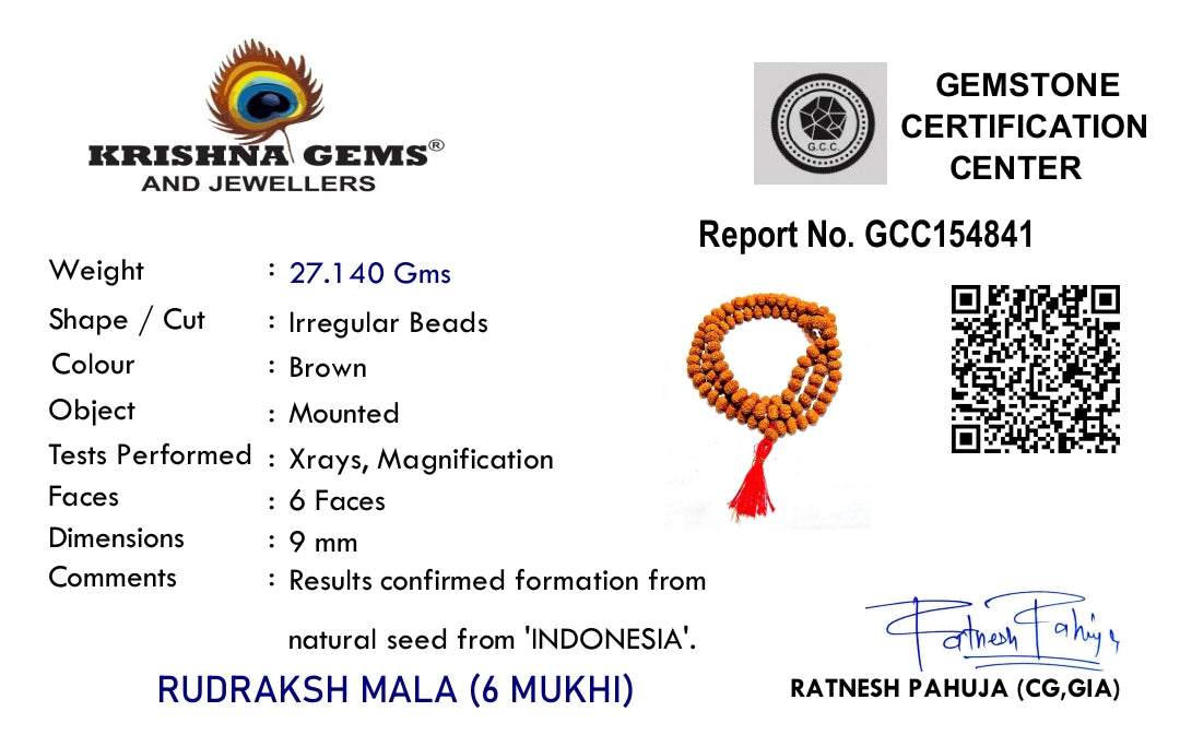 6 Mukhi Rudraksha Mala - Indonesia Origin