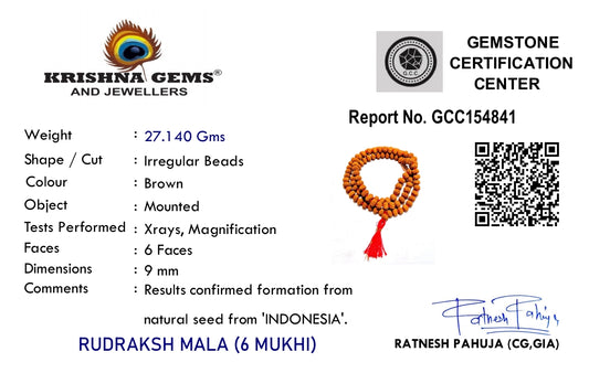 6 Mukhi Rudraksha Mala - Indonesia Origin