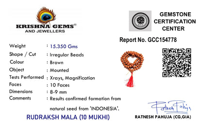 10 Mukhi Rudraksha Mala - Indonesia Origin