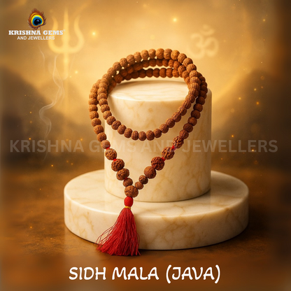 Sidh Rudraksha Mala Java/Indonesia (1-14 Mukhi + Gauri Shankar + Ganesh Rudraksha)