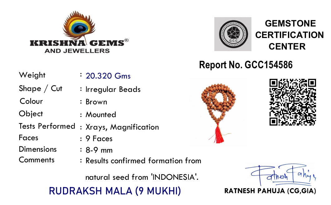9 Mukhi Rudraksha Mala - Indonesia Origin