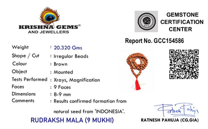 9 Mukhi Rudraksha Mala - Indonesia Origin