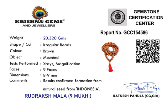 9 Mukhi Rudraksha Mala - Indonesia Origin