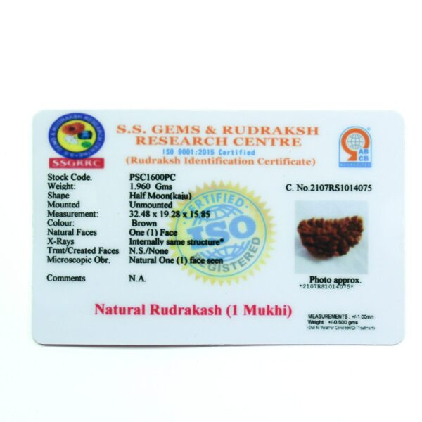 Certificate 1 Mukhi Rudraksha